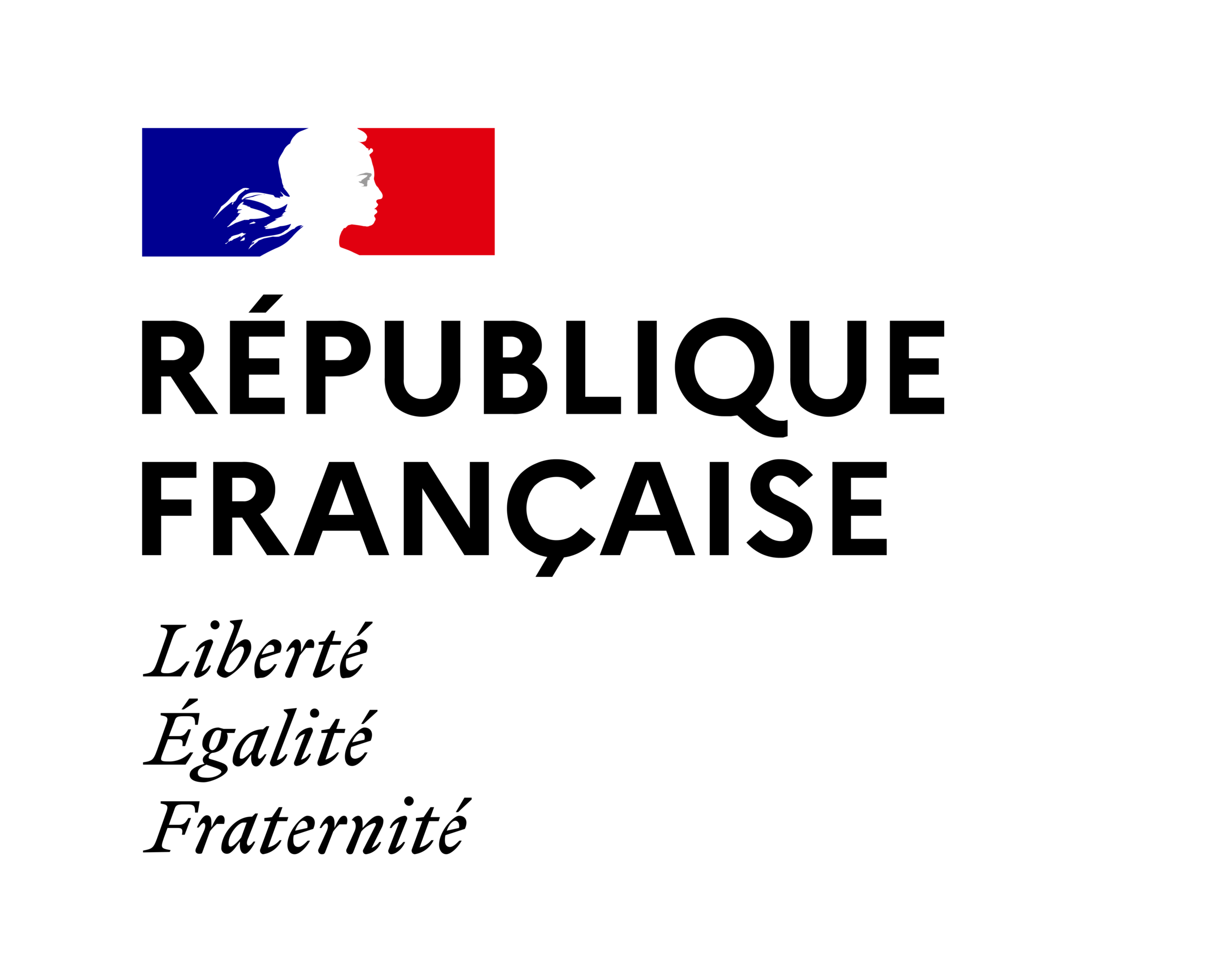 Loi organique